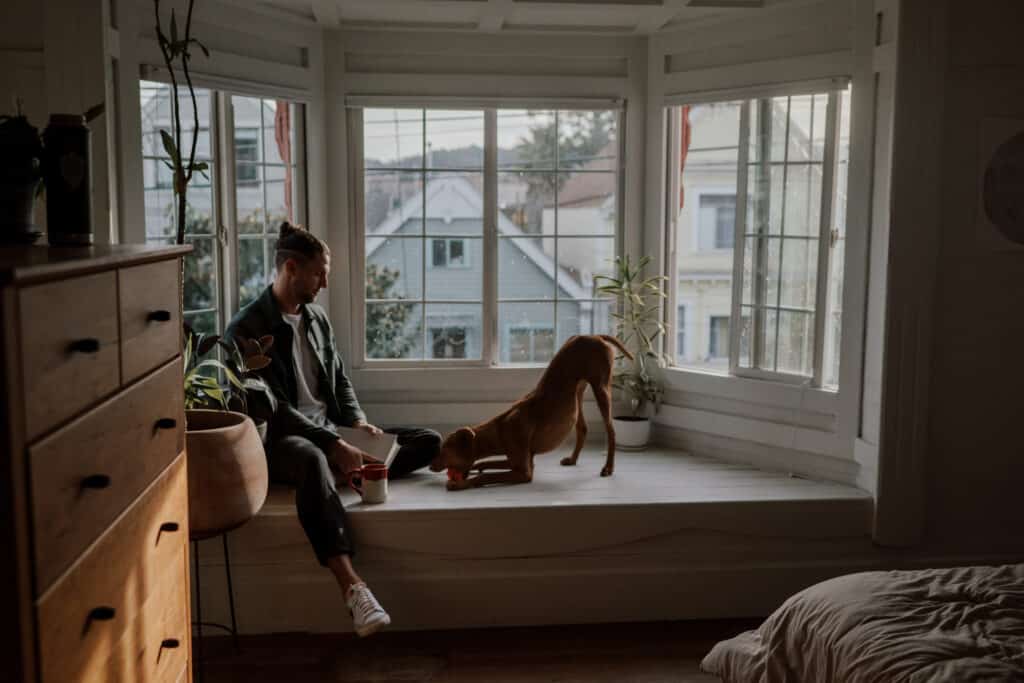 Joel Hoekstra Branding